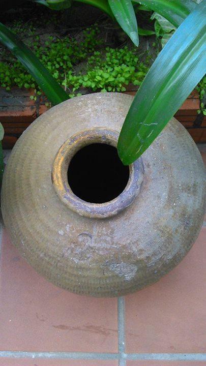 Thao Nguyen Phat Homestay Hoi An Luaran gambar